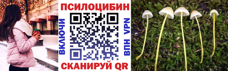 даркнет сайт  блэк спрут ссылка  Галлюциногенные грибы Psilocybe  Жуковка 